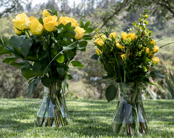 bouquet